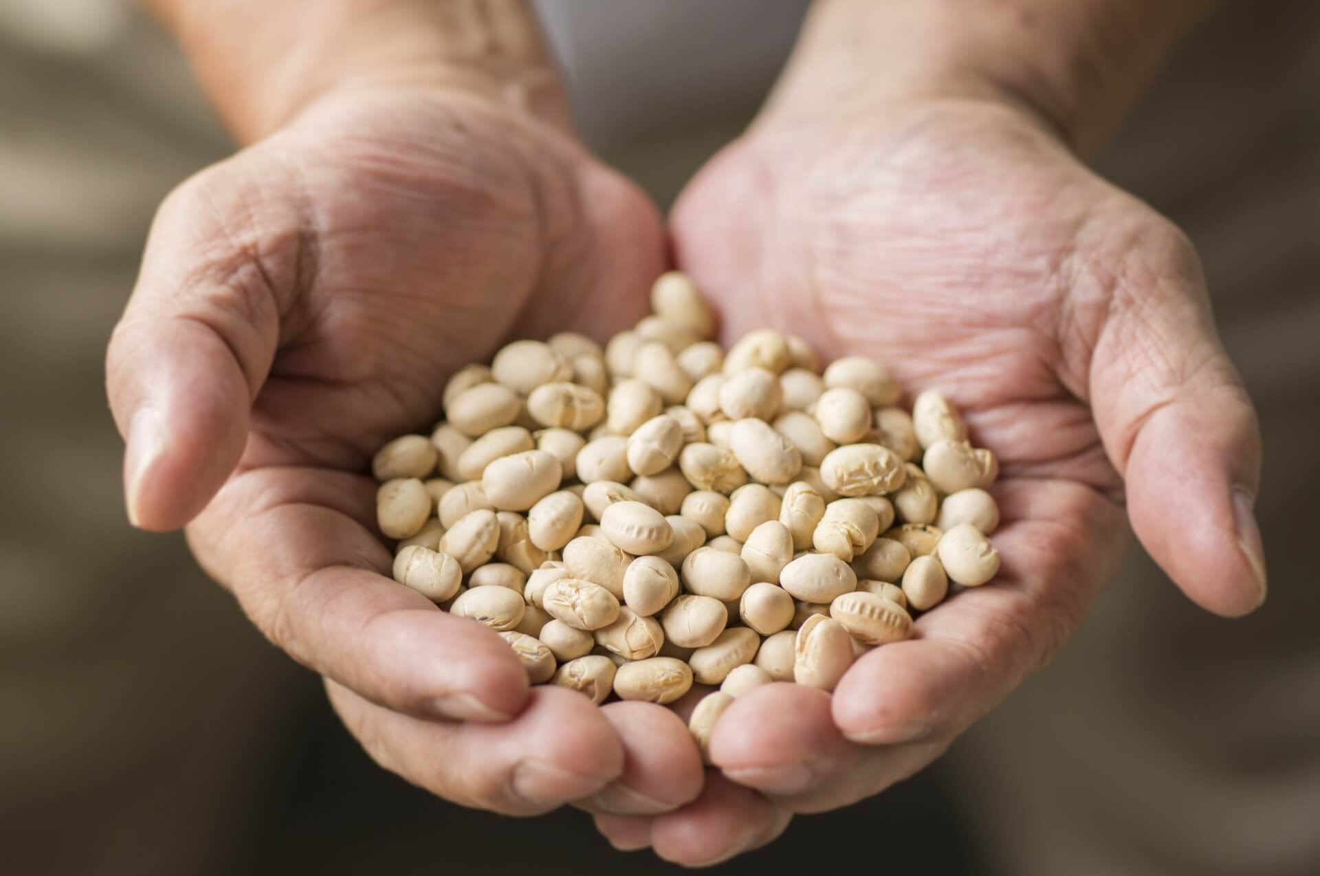 国産原料100％で引き出す、素材本来の豊かな風味