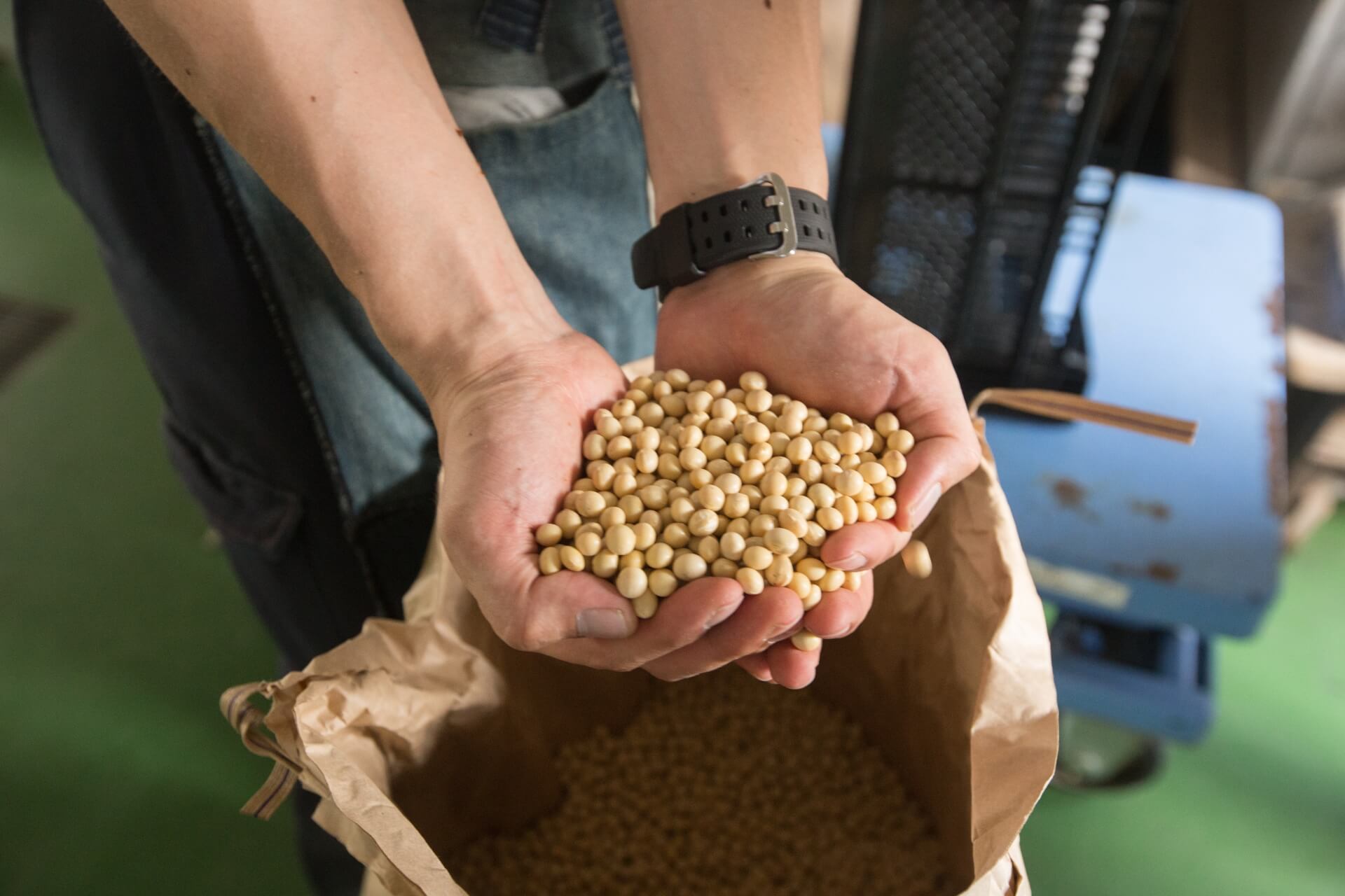 国産大豆と輸入大豆の味噌で生まれる違い